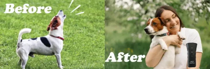 Petgentle Dog Trainer (Official Retailer) 2025