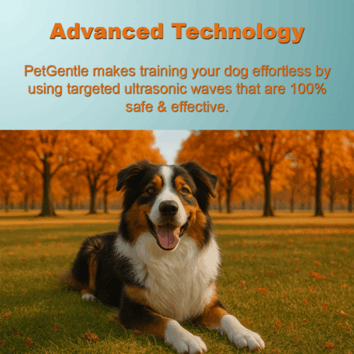 Petgentle Dog Trainer (Official Retailer) 2025
